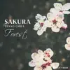 Lucky Bear - SakuraPianoChill -Forest-